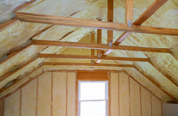 Best Sustainability and Green Building in Owosso, MI
